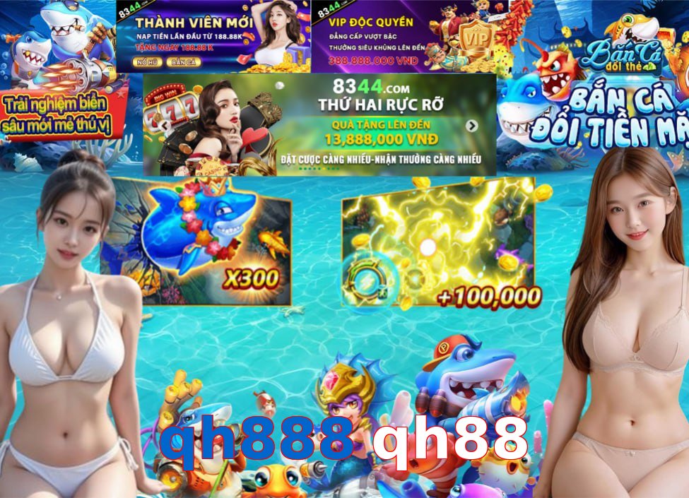 qh888 qh88